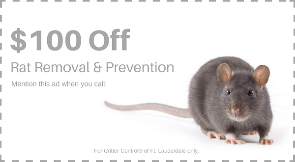 Save $100 on Rat Removal
